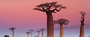 Madagascar: Aluguel de jato particular