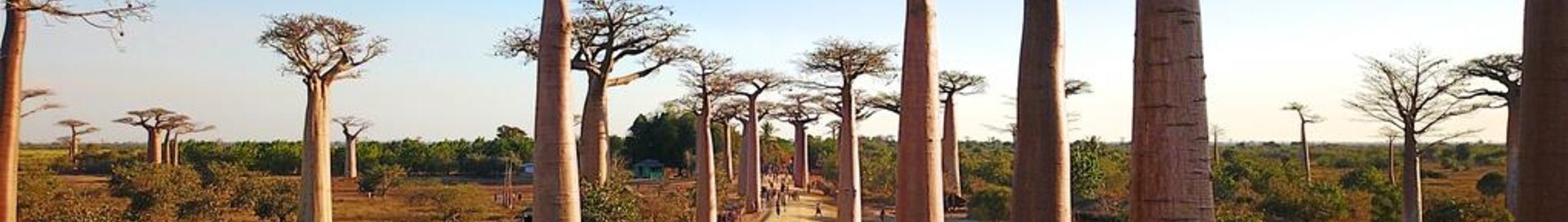 Morondava: aluguel de jatos particulares