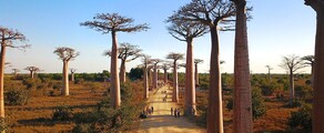 Morondava: aluguel de jatos particulares