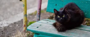 Nizhnekamsk Begishevo: aluguel de jatos particulares