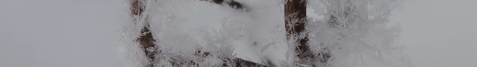 Orenburg: aluguel de jatos particulares