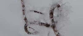 Yuzhno Sakhalinsk: aluguel de jatos particulares