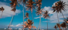 La Romana: aluguel de jatos particulares