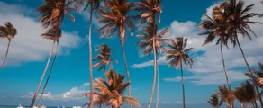 Punta Cana: aluguel de jatos particulares