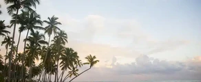 República Dominicana: Aluguel de jatos particulares