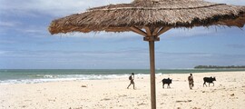 Madagascar : Aluguel de jatos particulares