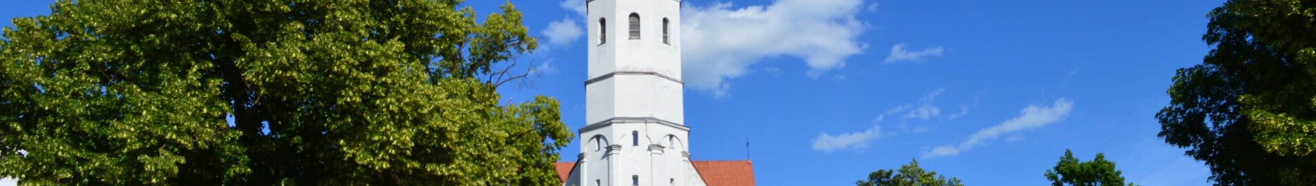 Siauliai : aluguel de jatos particulares 