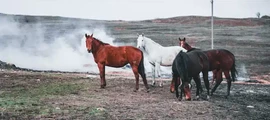 Belgorod: aluguel de jatos particulares