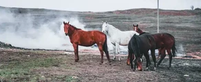 Stavropol Shpakovskoye: aluguel de jatos particulares