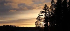 Skelleftea: aluguel de jatos particulares