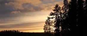 Stromsund Hallviken: aluguel de jatos particulares