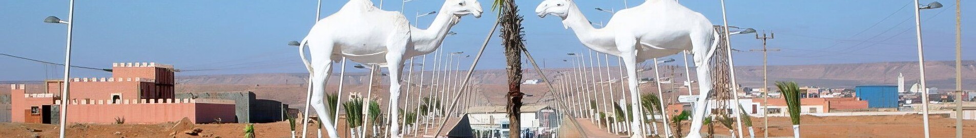 Tan-Tan: aluguel de jatos particulares 