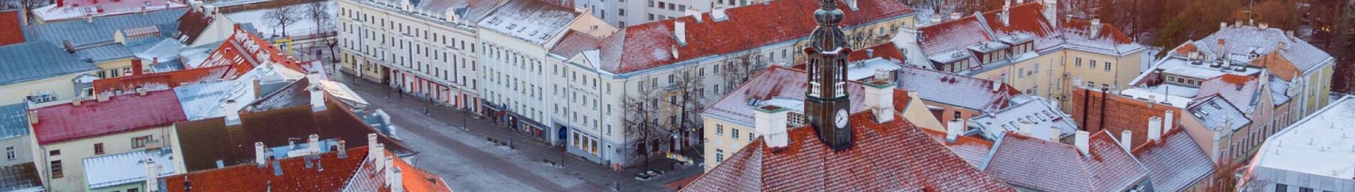 Tartu: aluguel de jatos particulares 