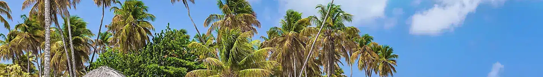 Tobago Scarborough Crown Point: aluguel de jatos particulares 