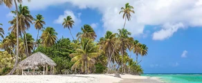 Tobago Scarborough Crown Point: aluguel de jatos particulares 