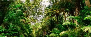 Trinidad e Tobago : Aluguel de jatos particulares