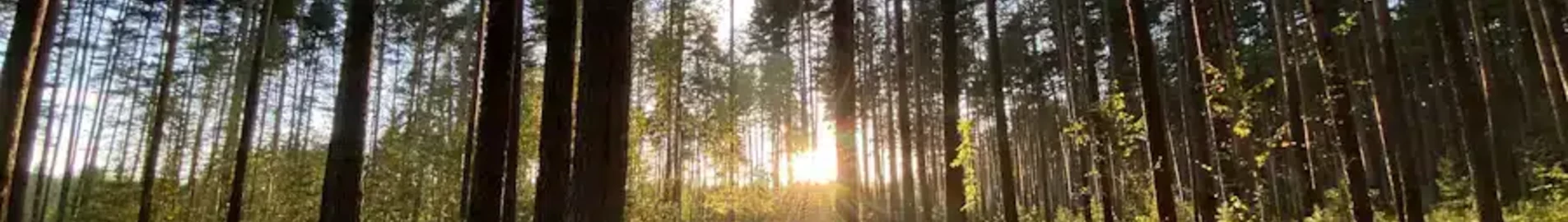 Tver Migalovo: aluguel de jatos particulares