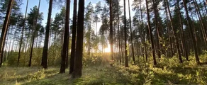 Tver Migalovo: aluguel de jatos particulares