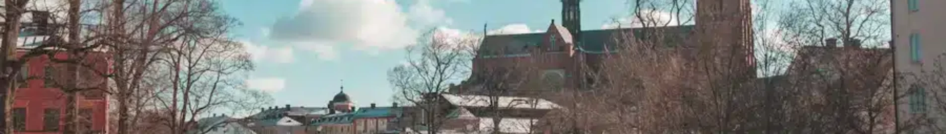Uppsala: aluguel de jatos particulares