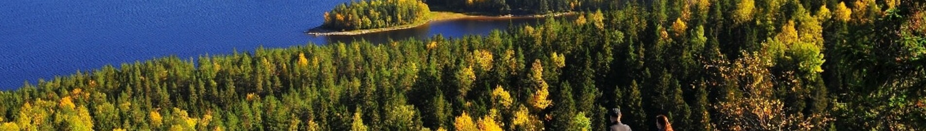 Varkaus: aluguel de jatos particulares 