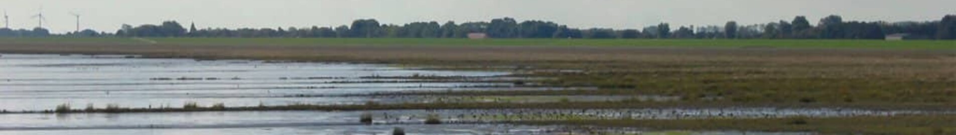 Wilhelmshaven Mariensiel: aluguel de jatos particulares 