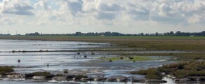 Wilhelmshaven Mariensiel: aluguel de jatos particulares 