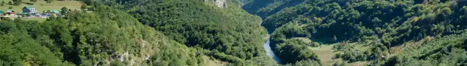 Žabljak: aluguel de jatos particulares