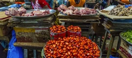 San Pedro: aluguel de jatos particulares