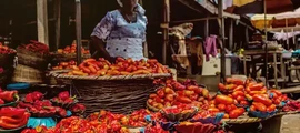 Lagos Murtala Muhammed: aluguel de jatos particulares