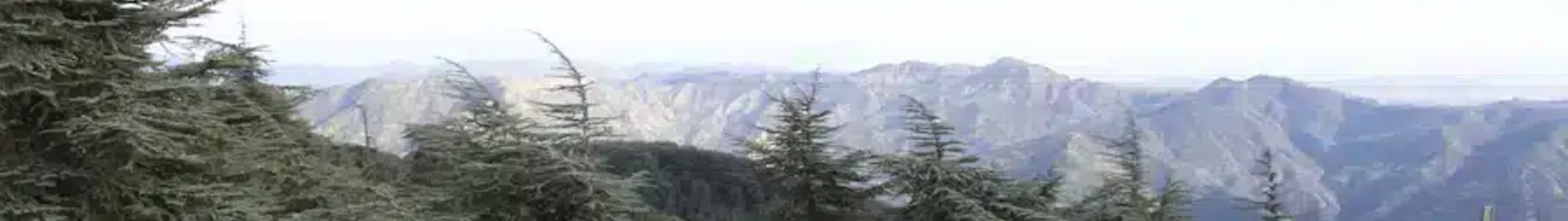 Blida: aluguel de jatos particulares