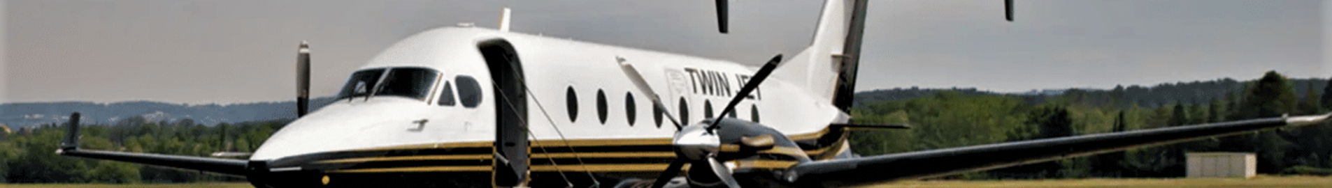 Twin Jet : companhia aérea