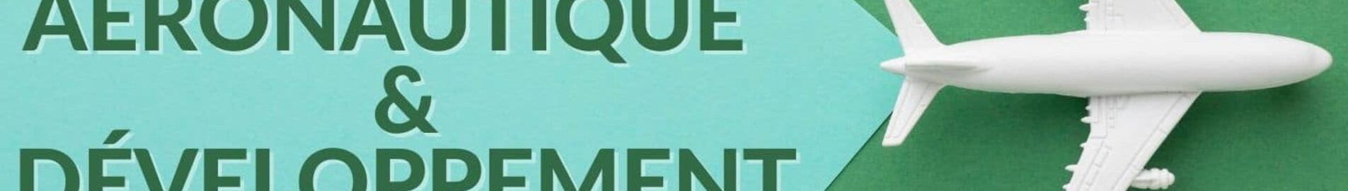 Os desafios enfrentados pelo setor aeronáutico no contexto do desenvolvimento sustentável