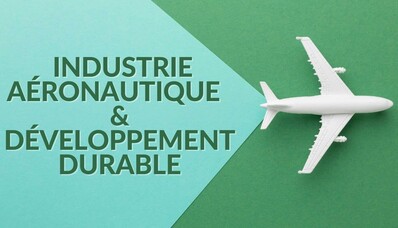 Os desafios enfrentados pelo setor aeronáutico no contexto do desenvolvimento sustentável