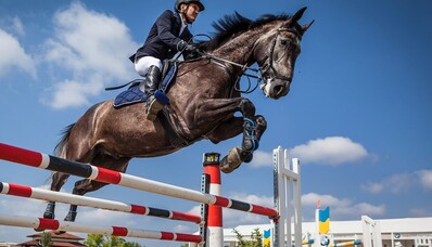 Transporte de cavalos em avião de carga: procedimentos, preços, empresas especializadas e vantagens