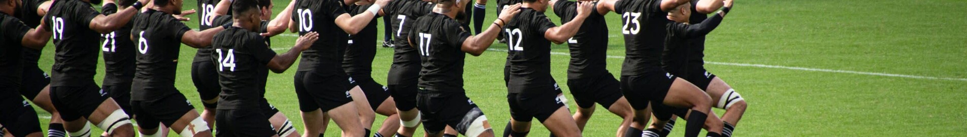 Copa do Mundo de Rugby 2023: voe para os céus em um jato particular.