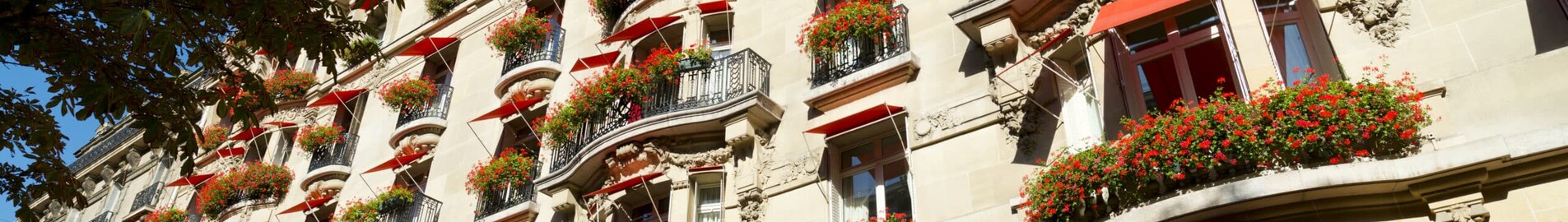 Hotel de luxo em Paris: uma estadia de sonho no Hôtel Plaza Athénée