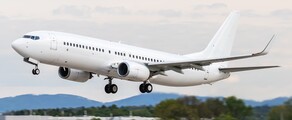 Boeing 737-800 : aluguel de jatos particulares