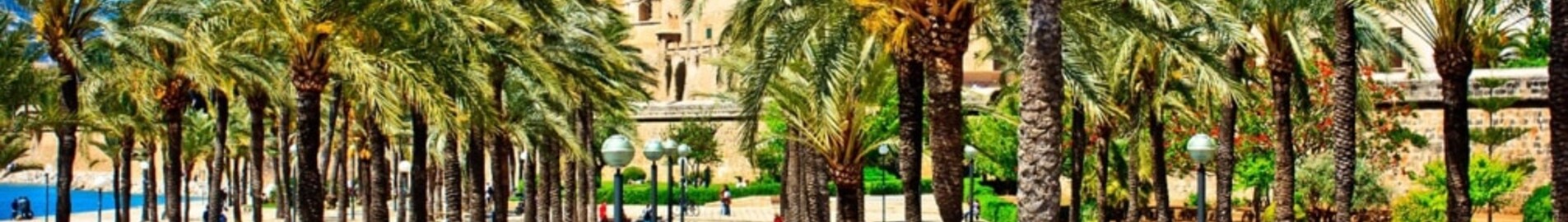 Nápoles - Palma de Mallorca: aluguel de jatos particulares