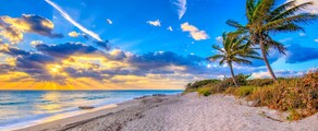 Genebra - Palm Beach : aluguel de jatos particulares