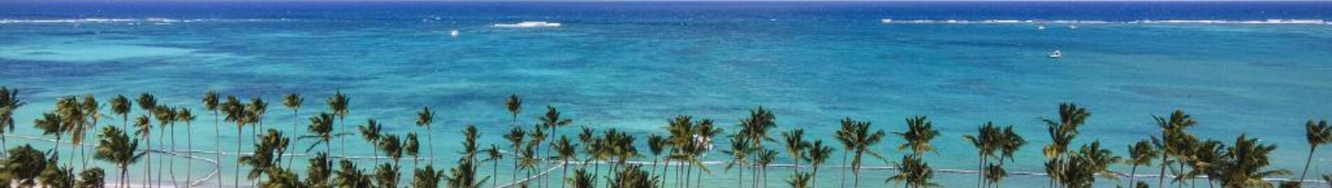 Palm Beach: aluguel de jatos particulares