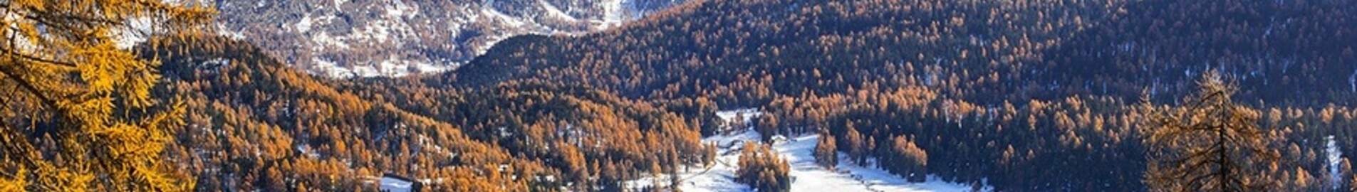 Saint-Tropez - Saint-Moritz Samedan: aluguel de jatos particulares