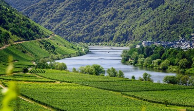 Vinhedos europeus para visitar em um jato particular