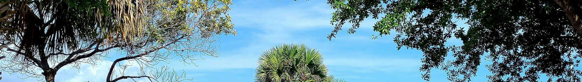 Los Angeles - Tampa : aluguel de jatos particulares
