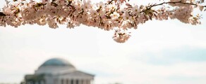Las Vegas - Washington DC : aluguel de jatos particulares