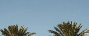 Houston - Orlando : aluguel de jatos particulares