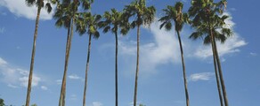 Nova York - Tampa : aluguel de jatos particulares