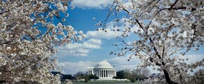 Los Angeles - Washington DC : aluguel de jatos particulares