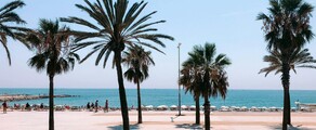 Frankfurt - Barcelona: aluguel de jato particular