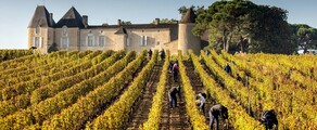 Vinhedos de Bordeaux: experiência de helicóptero