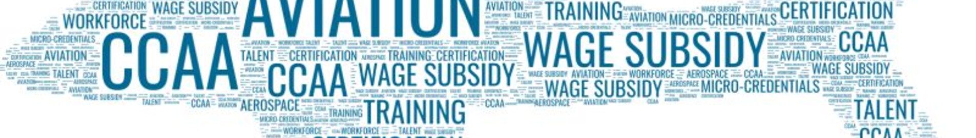 Glossário completo de aviação executiva : AEROAFFAIRES